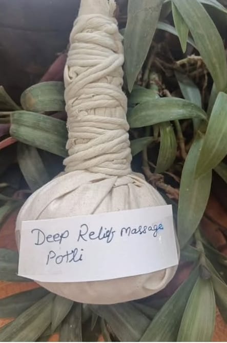 Herbs, roots and spices used to fill the massage potli